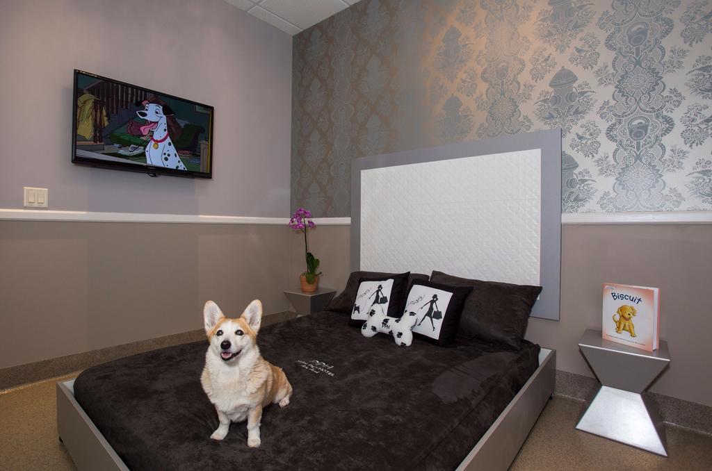 Freer Motel Dış mekan fotoğraf